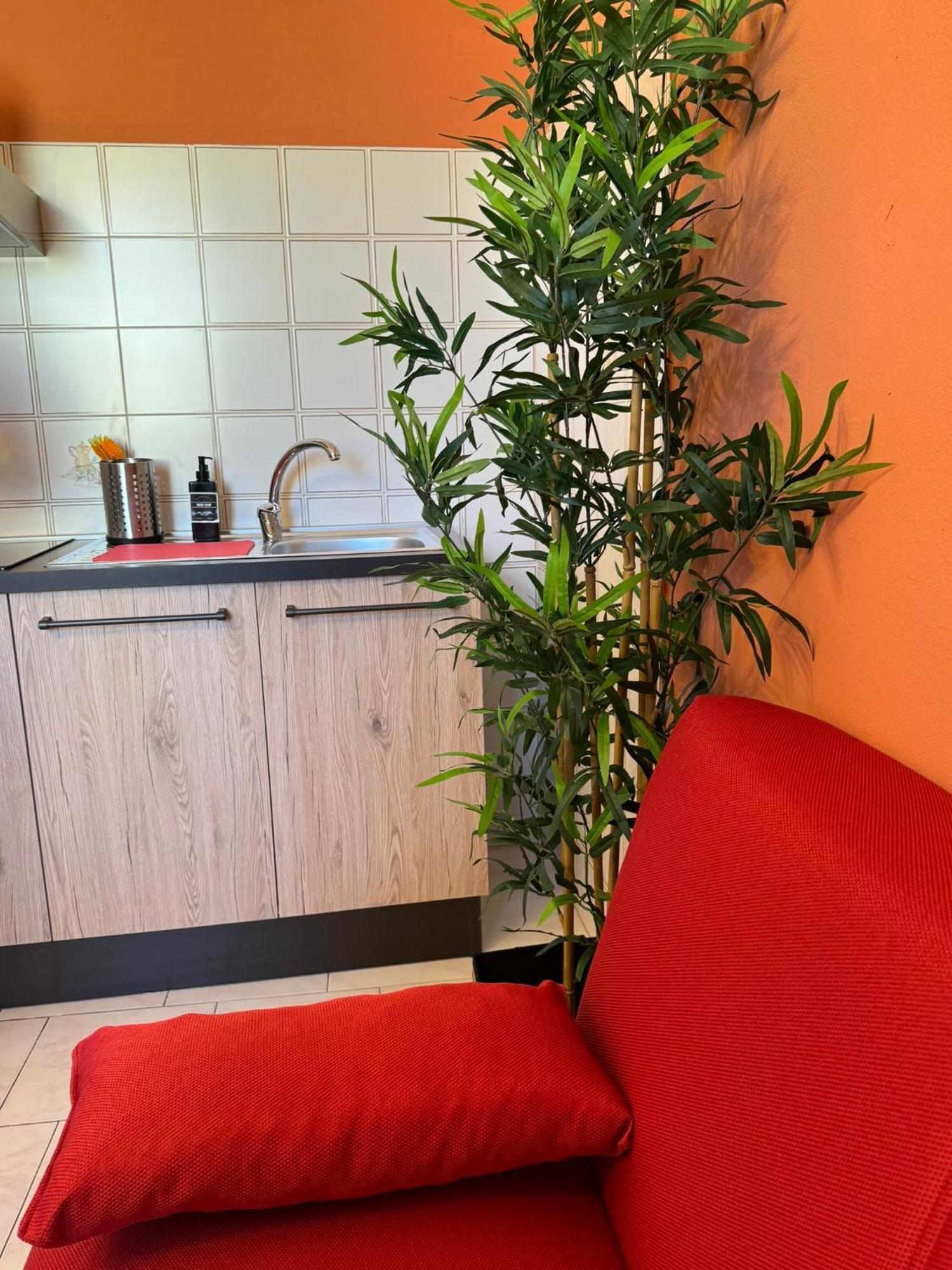 Colben Tuscany Home - Il Mare Dalla Finestra Nell'Atmosfera Tipica Livornese Livourne Extérieur photo